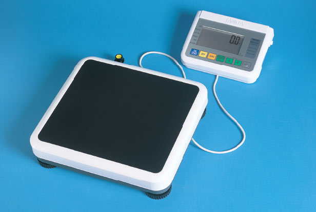 WB-100A Tanita Digital Scale - Click Image to Close